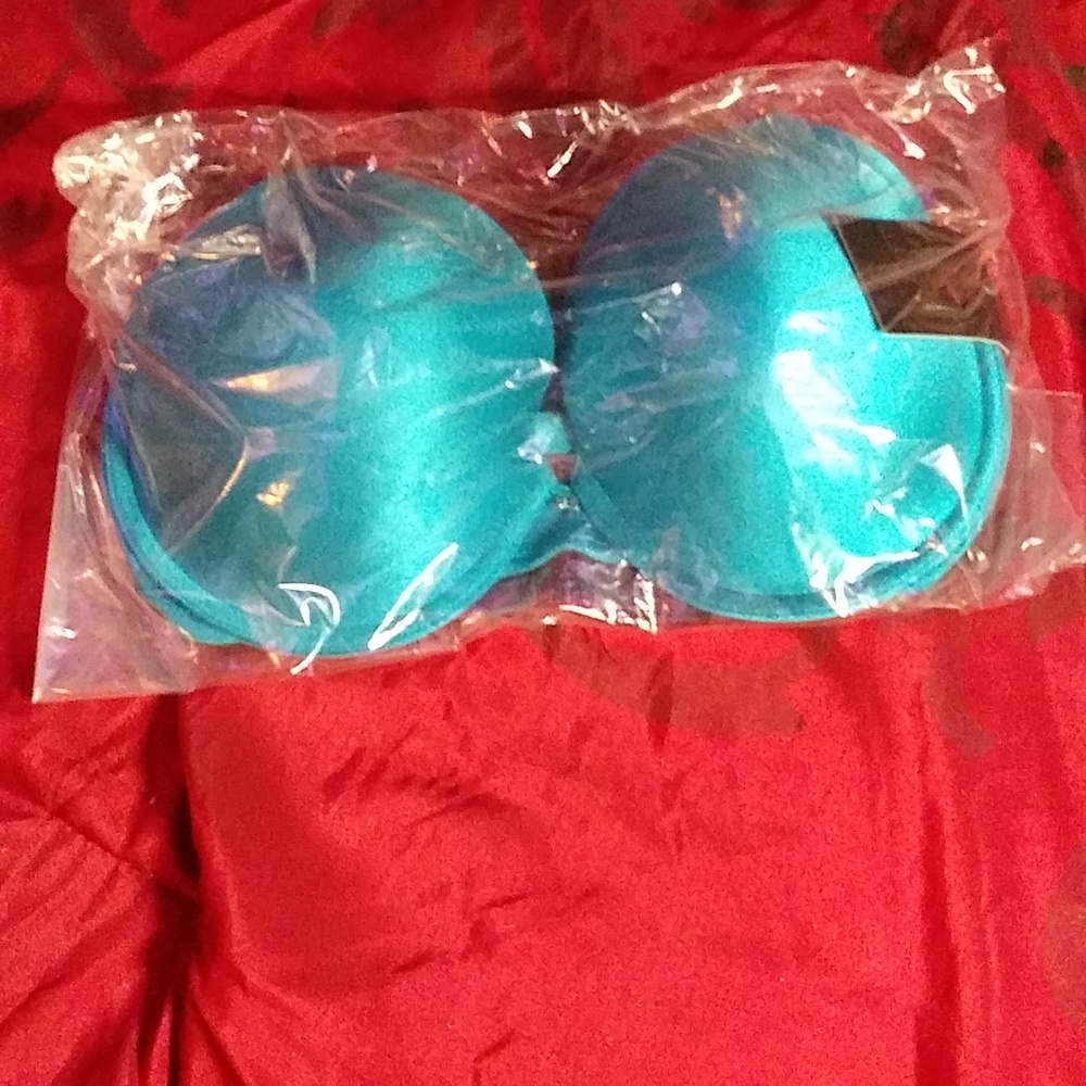 Fredrick's of Hollywood Smooth Satin Teal Bra (34DD)